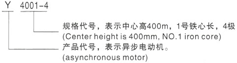 西安泰富西玛Y系列(H355-1000)高压沔城回族镇三相异步电机型号说明