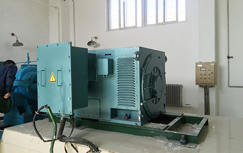 沔城回族镇某水电站工程主水泵使用我公司高压电机